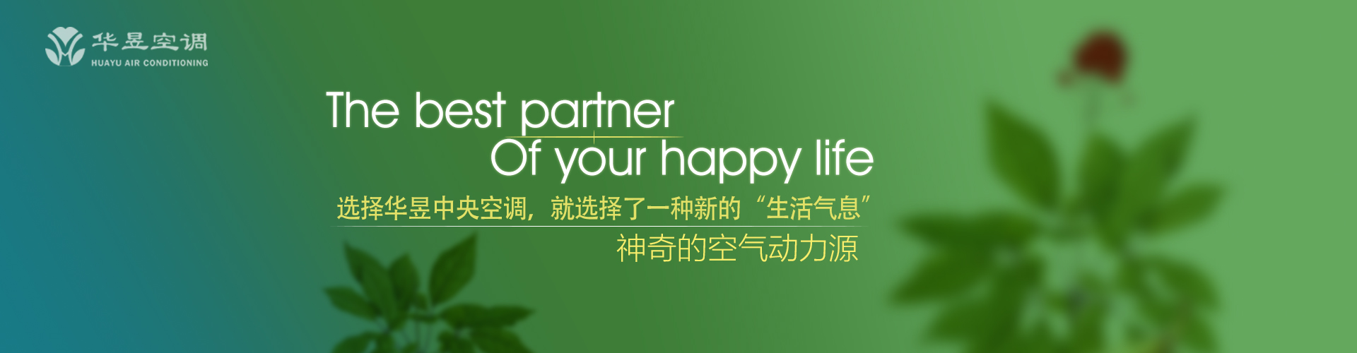 耆德硕老网
